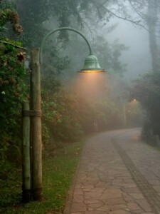 path in garden